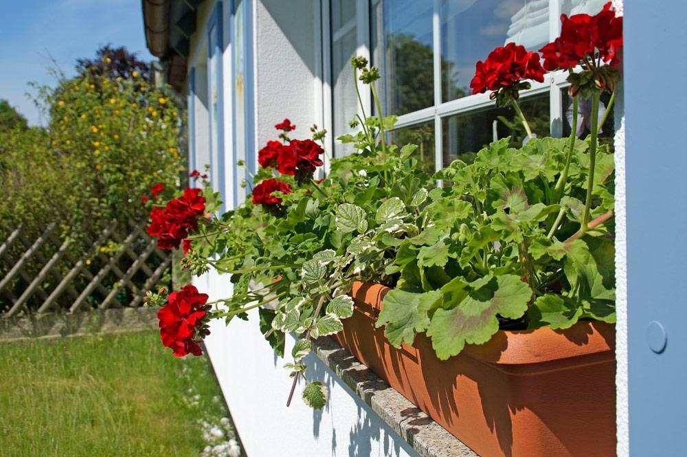 Ferienwohnanlage Bruckner Apartment Росток Екстериор снимка
